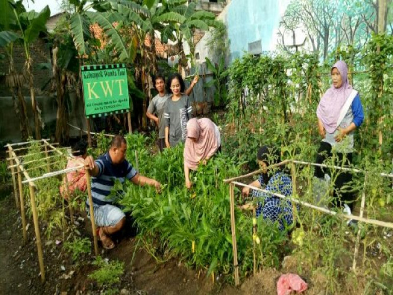 IMG-kampung-phbs-cipondoh-makmur-miliki-kelompok-wanita-tani