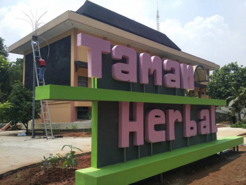 IMG-41-jenis-tanaman-lengkapi-taman-herbal