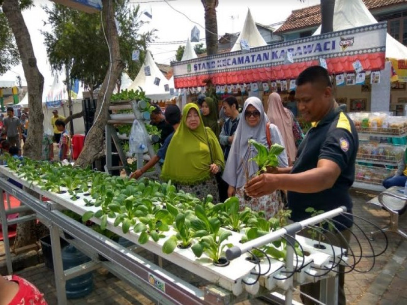 IMG-kecamatan-karawaci-pamerkan-tanaman-hidroponik-di-festival-cisadane-2018