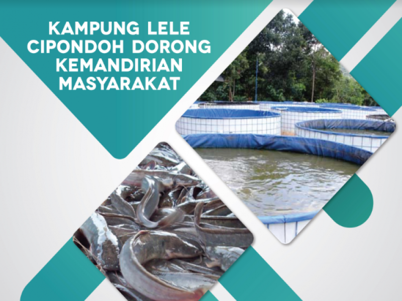 IMG-kampung-lele-cipondoh-dorong-kemandirian-masyarakat