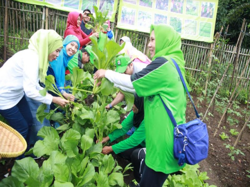 IMG-tujuh-lokasi-ini-akan-dibangun-kampung-sayur