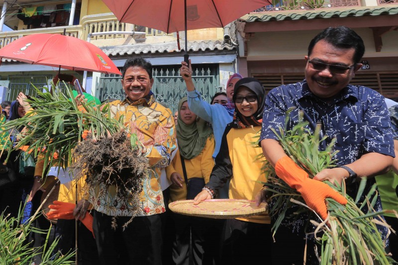 IMG-panen-sachrudin-cicipi-nikmatnya-olahan-jahe-merah