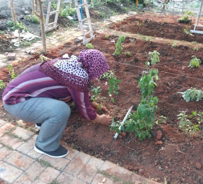 IMG-keseruan-bertani-di-kampung-taubat