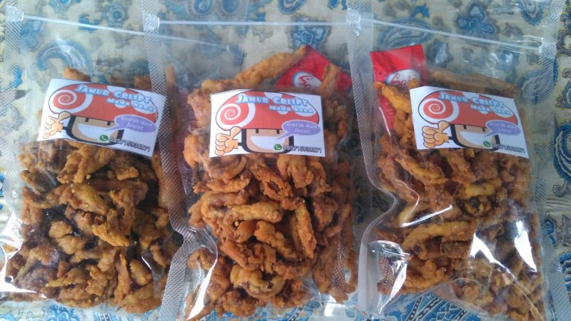 IMG-renovasi-rumah-dari-usaha-jamur-crispy