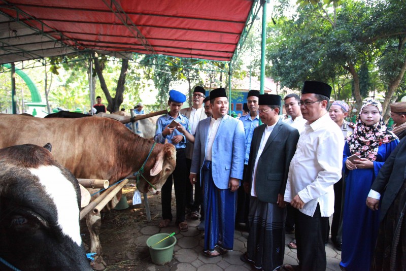 IMG-idul-adha-1439-h-jumlah-hewan-kurban-di-masjid-raya-al-azhom-meningkat