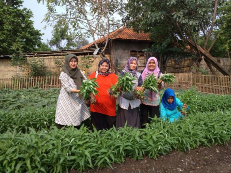 IMG-kwt-rawa-kompeni-panen-bersama