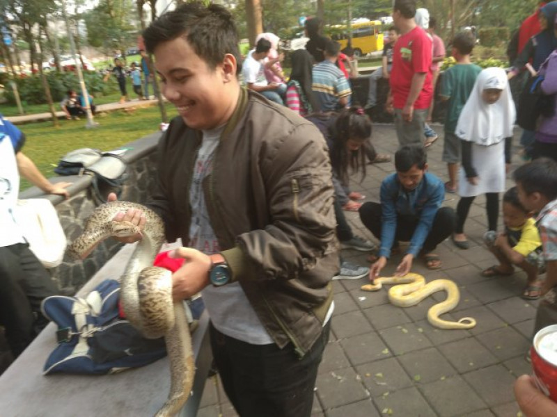 IMG-melihat-serunya-komunitas-reptil-tangerang