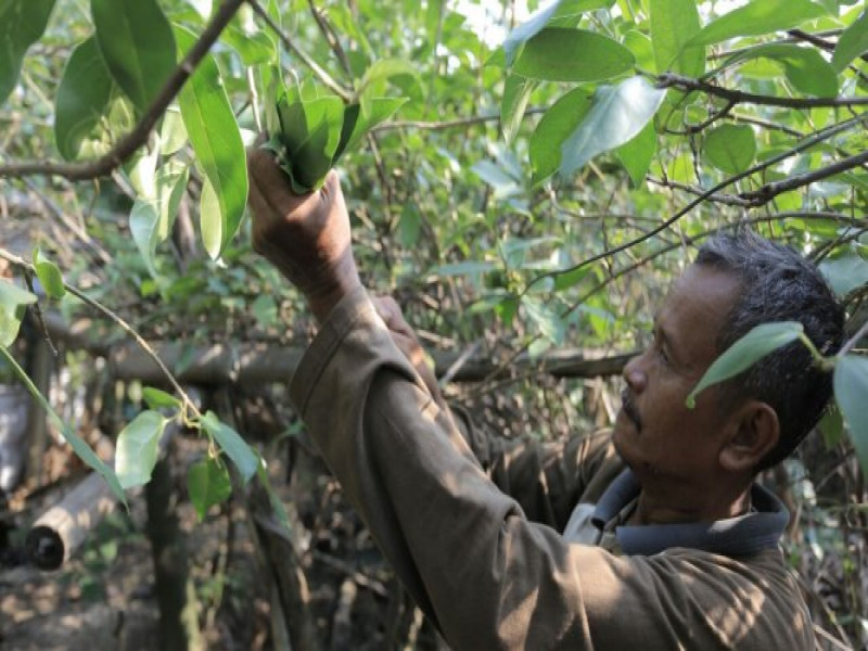 IMG-program-tangerang-berkebun-tingkatkan-prekonomian-keluarga