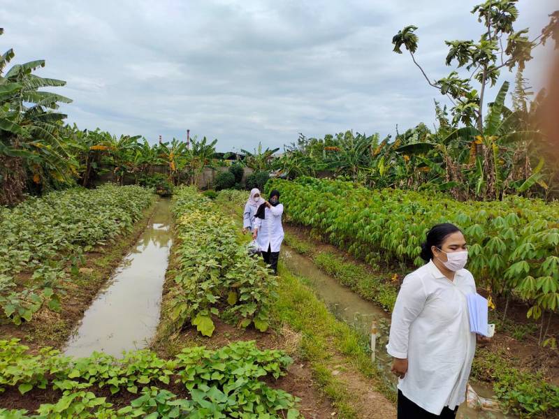 IMG-verifikasi-kampung-proklim-rw-06-gandasari-jatiuwung