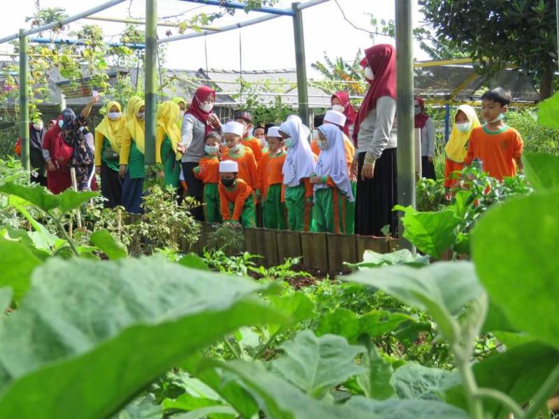 IMG-kwt-gemas-implan-digeruduk-puluhan-anak-tk-belajar-berkebun