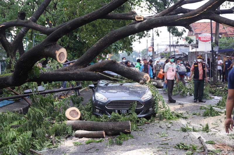 Ini Cara Klaim Asuransi Korban Pohon Tumbang Di Kota Tangerang