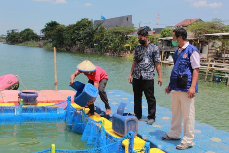 IMG-kampung-keramba-periuk-kian-tunjukan-eksistensi