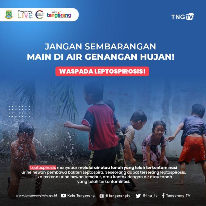 IMG-waspada-leptospirosis-jangan-asal-main-air-genangan