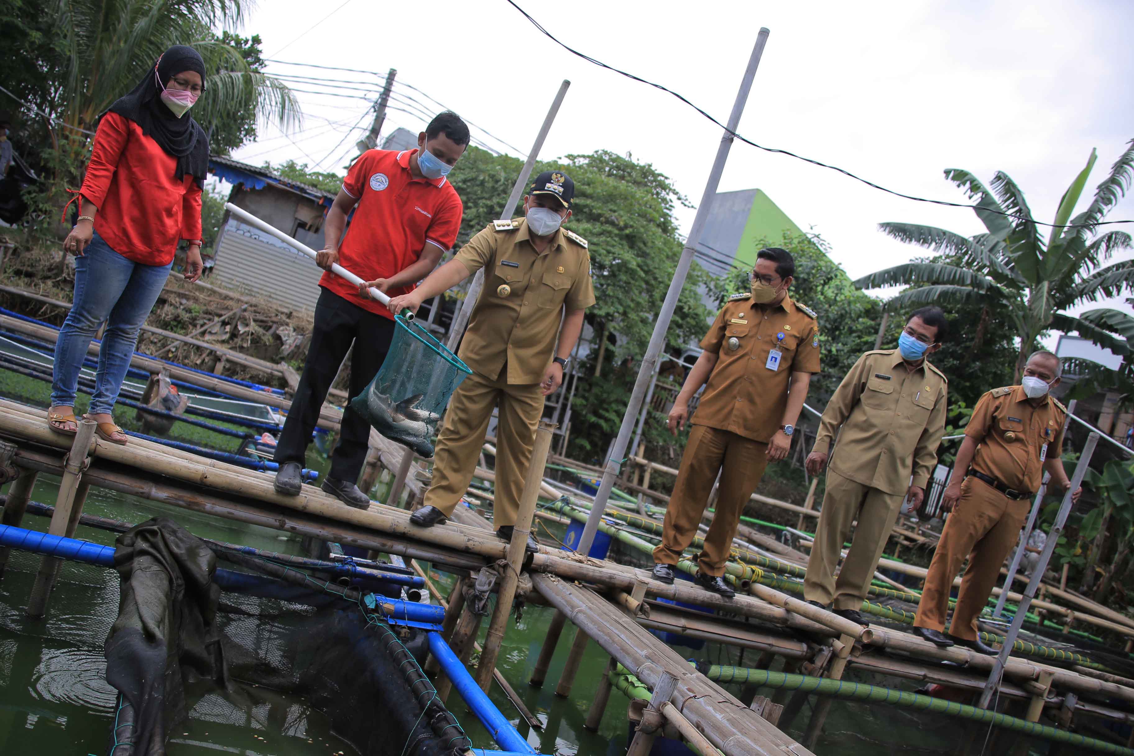 IMG-arief-sebar-1-500-bibit-ikan-nila-di-kampung-kerambah-periuk