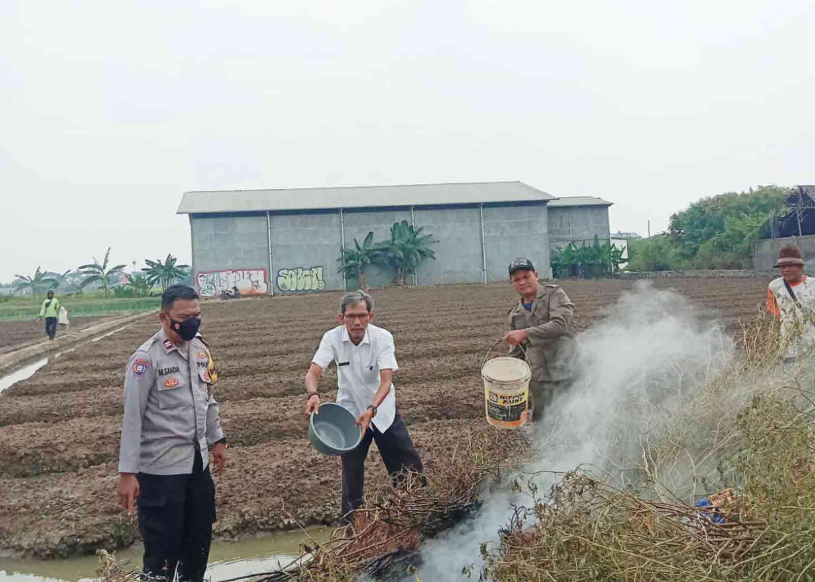 Aparatur Kelurahan Belendung, Babinsa, dan Bhabinkamtibmas Polsek Benda memberikan teguran kepada petani yang membakar jerami