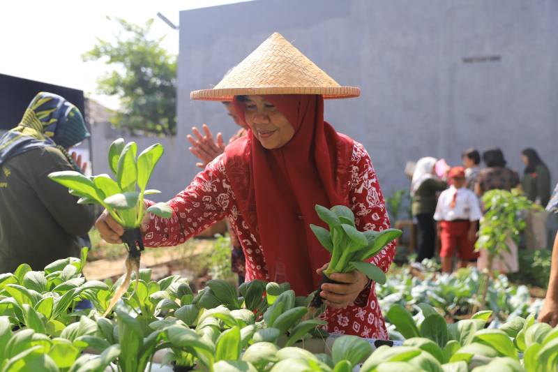 IMG-pengelolaan-kwt-sukses-membawa-perubahan-ekonomi-warga