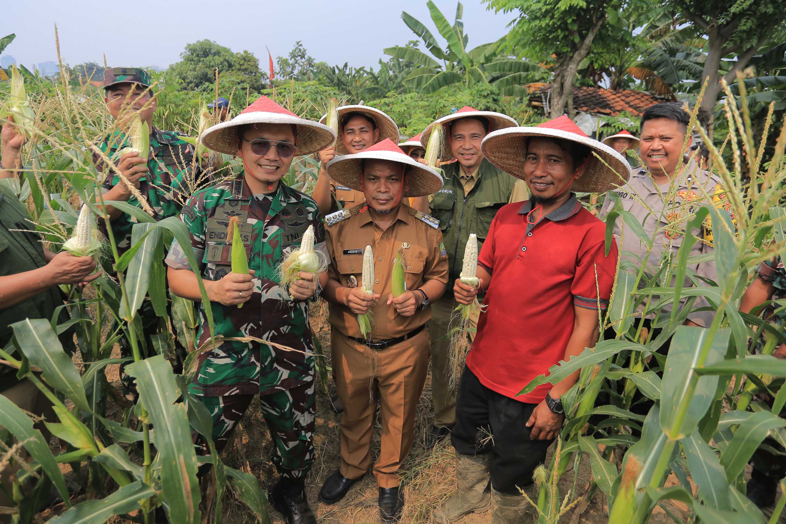 jaga-ketahanan-pangan-di-kota-metropolitan-dr-nurdin-minta-maksimalkan-lahan-kosong