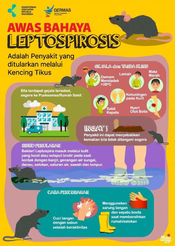 IMG-dinkes-kota-tangerang-minta-masyarakat-waspadai-penyakit-leptospirosis