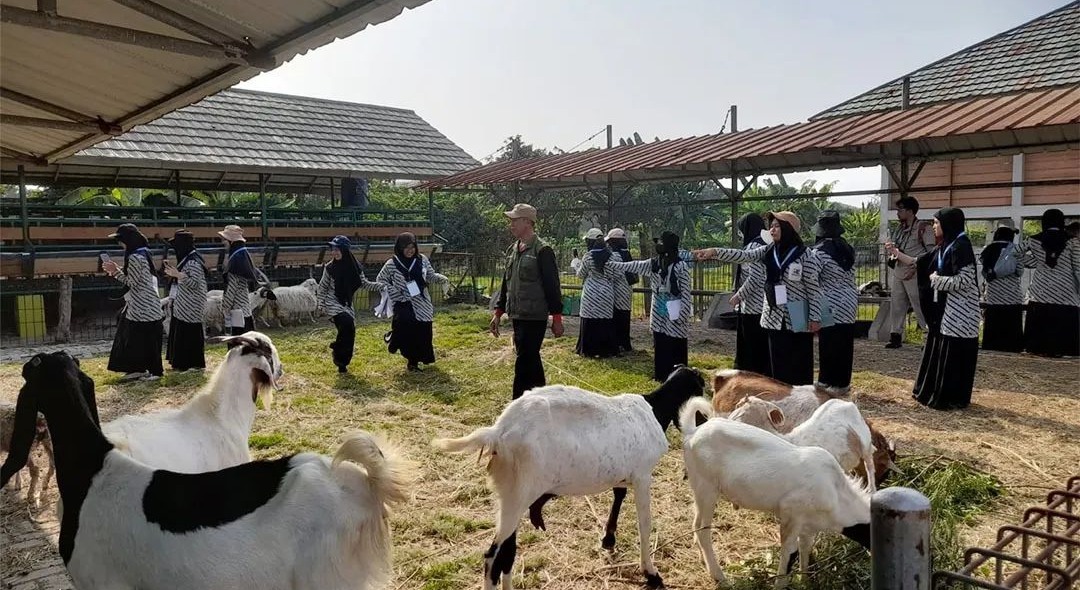 IMG-puluhan-siswa-belajar-urban-farming-dengan-menyenangkan-di-upt-pbtphp-kota-tangerang