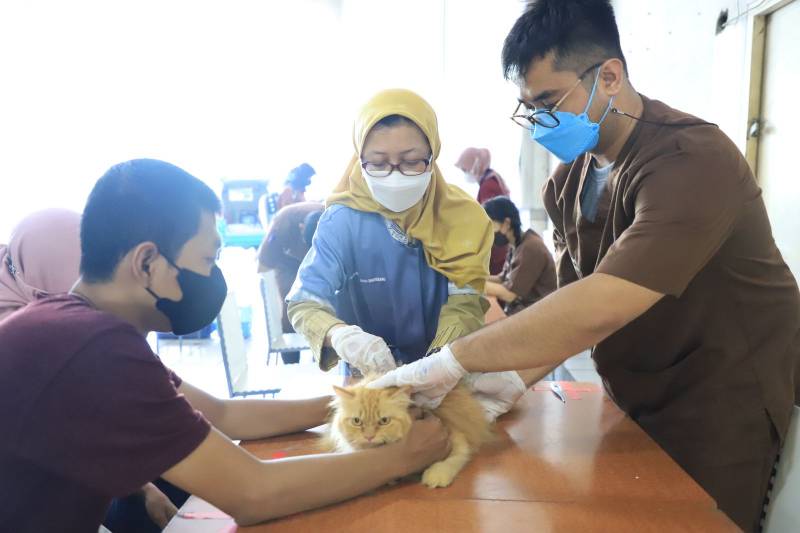 hari-puskeswan-nasional-2024-dkp-kota-tangerang-buka-pendaftaran-vaksinasi-rabies-gratis