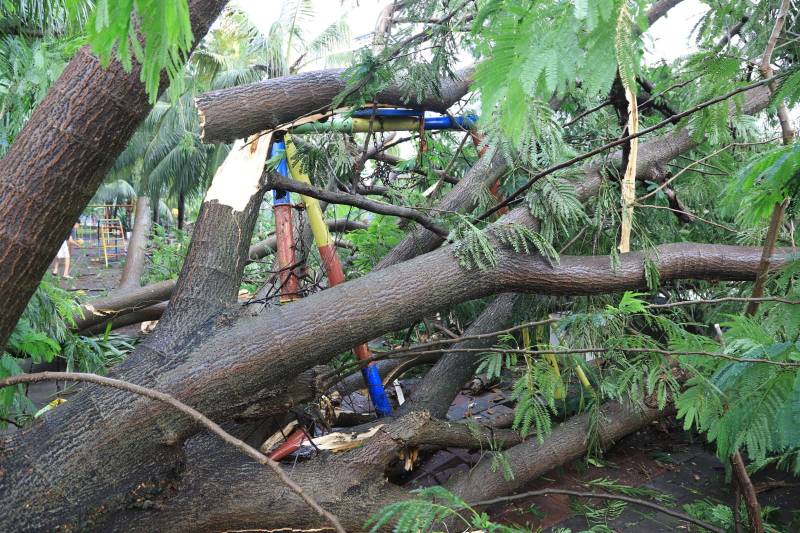 pemkot-tangerang-tangani-11-klaim-asuransi-korban-pohon-tumbang-begini-cara-dan-syaratnya