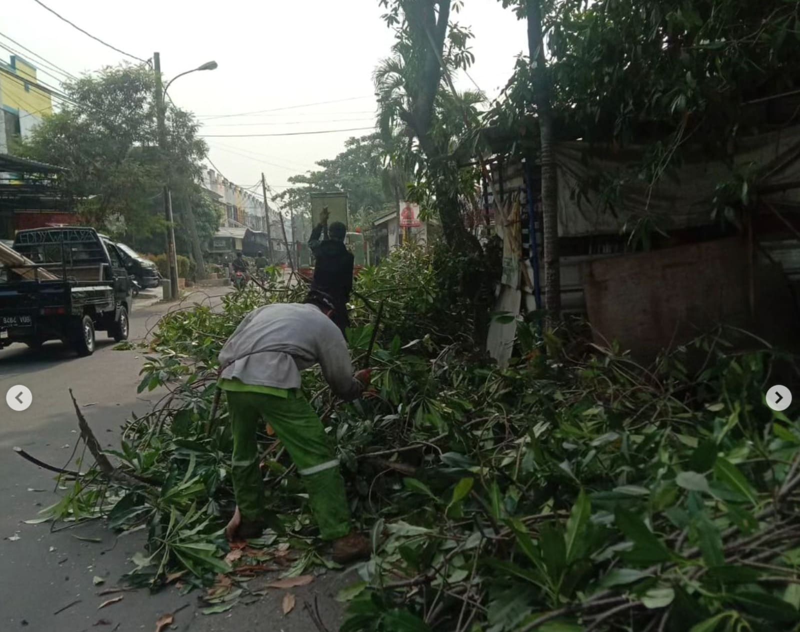 cuaca-ekstrem-pemkot-tangerang-buka-permohonan-pemangkasan-pohon-gratis