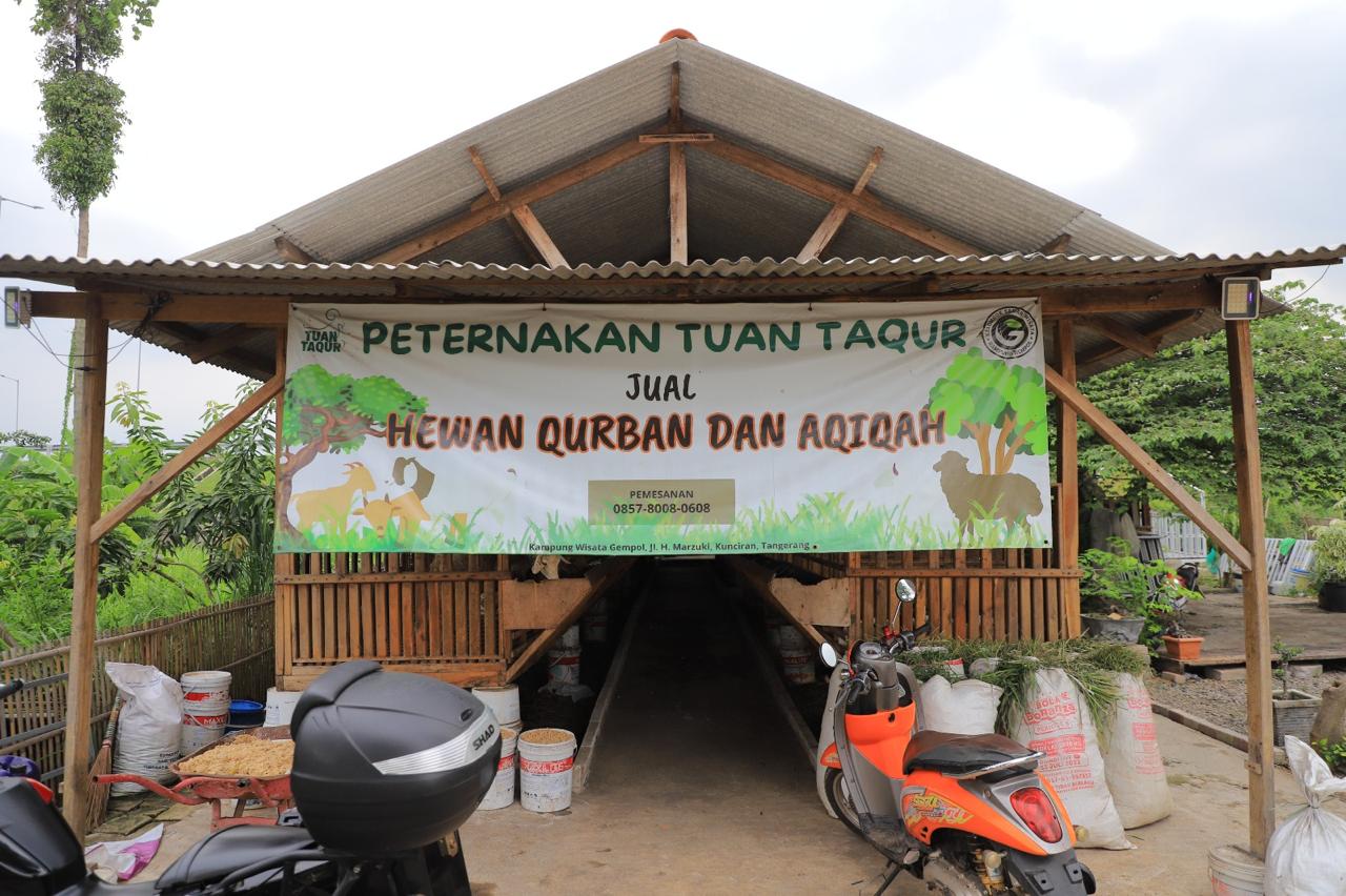 peternakan-tuan-taqur-kota-tangerang-sukses-hasilkan-kambing-berkualitas