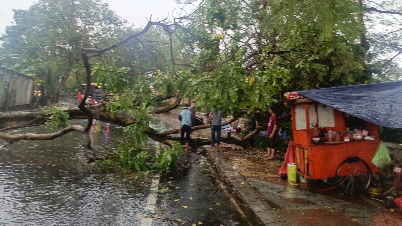 hujan-disertai-angin-kencang-petugas-gabungan-cepat-tanggap-tangani-banjir-hingga-pohon-tumbang-di-kota-tangerang