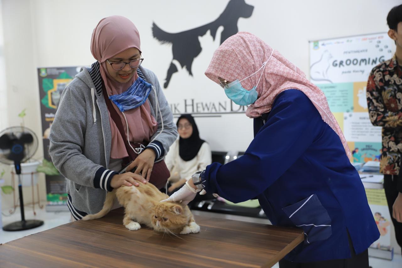 sambut-hut-ke-32-pemkot-tangerang-buka-layanan-pekan-steril-anabul-secara-gratis