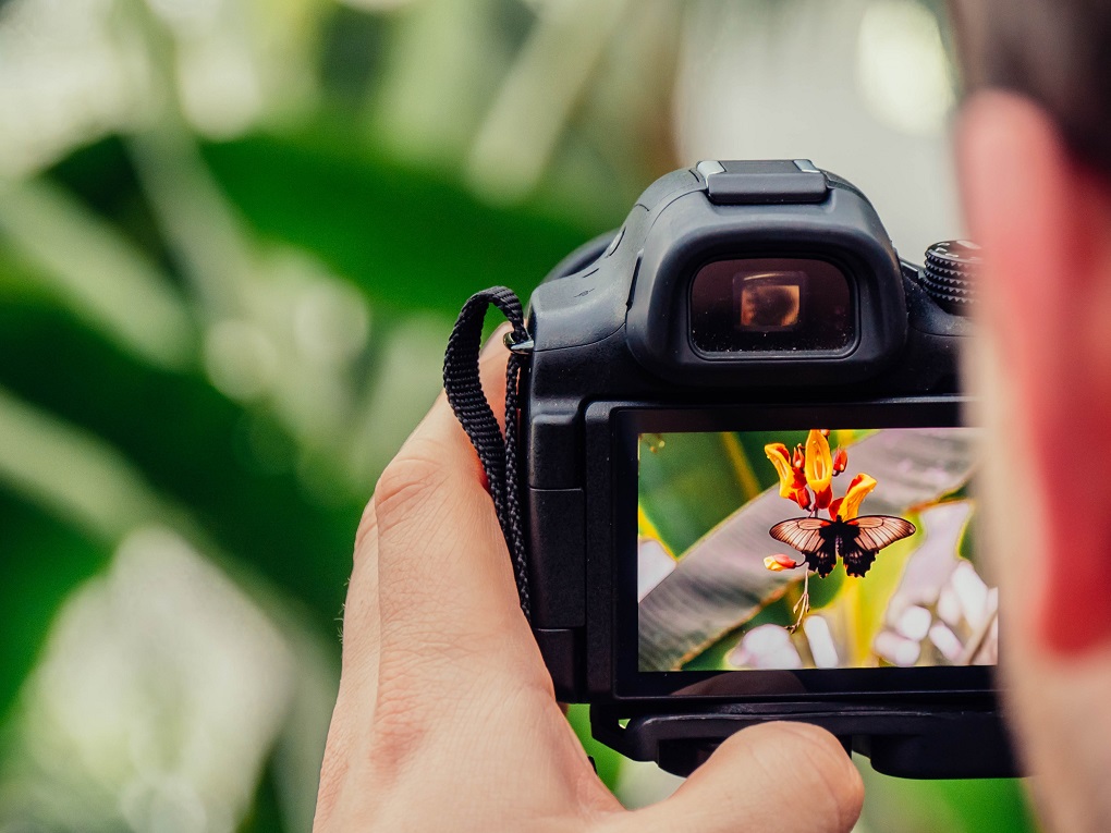 dukung-promosi-pariwisata-pemkot-tangerang-buka-pendaftaran-pelatihan-fotografi-gratis